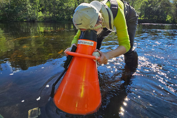 Kartlegging elvemusling Simoa