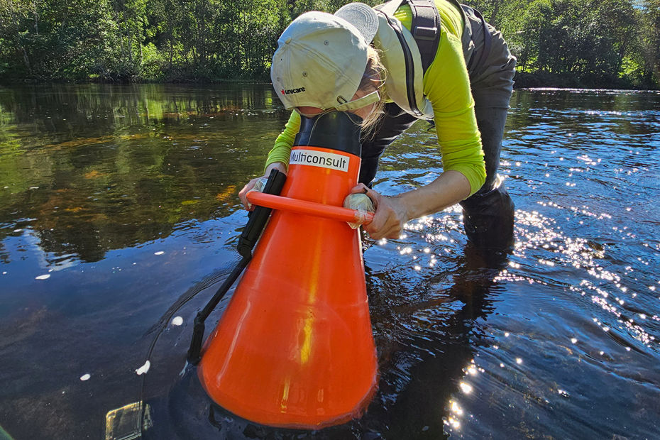 Kartlegging elvemusling Simoa
